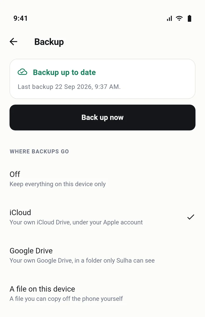 The Backup screen, showing the backup is up to date, with iCloud selected and options for Google Drive or a file kept on the device.